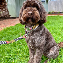 Load image into Gallery viewer, The &#39;White Tulip Flowers&#39; Dog Collar Bundle - Fluffy Tales
