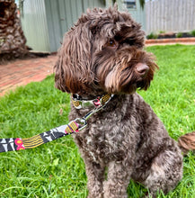 Load image into Gallery viewer, The &#39;White Tulip Flowers&#39; Dog Collar Bundle - Fluffy Tales
